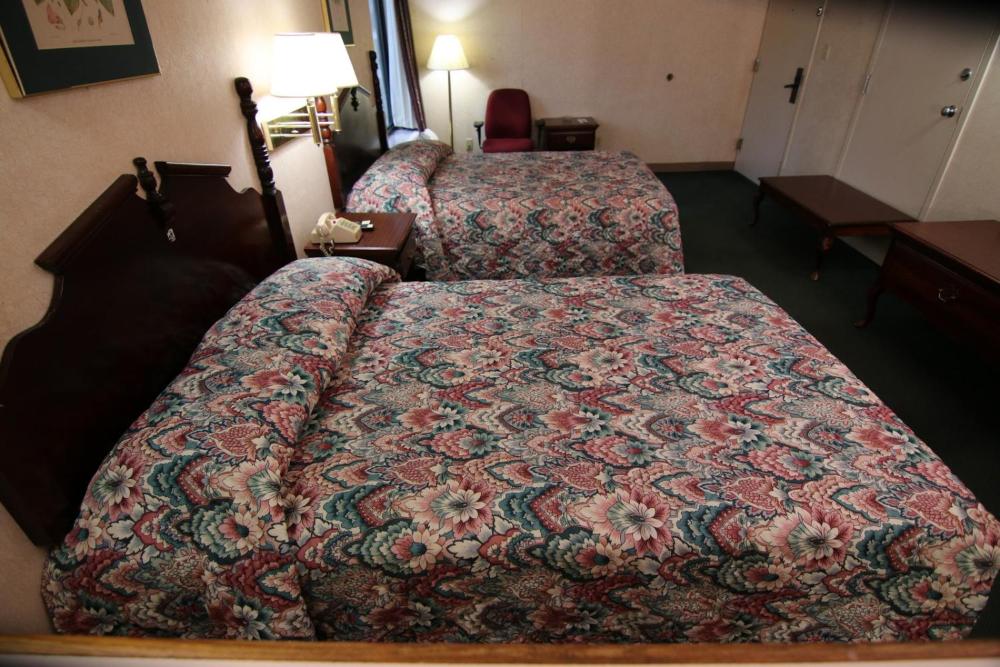 Double Room (1 Adult + 1 Child) interior